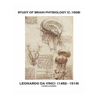 Study Of Brain Physiology Leonardo da Vinci Poster