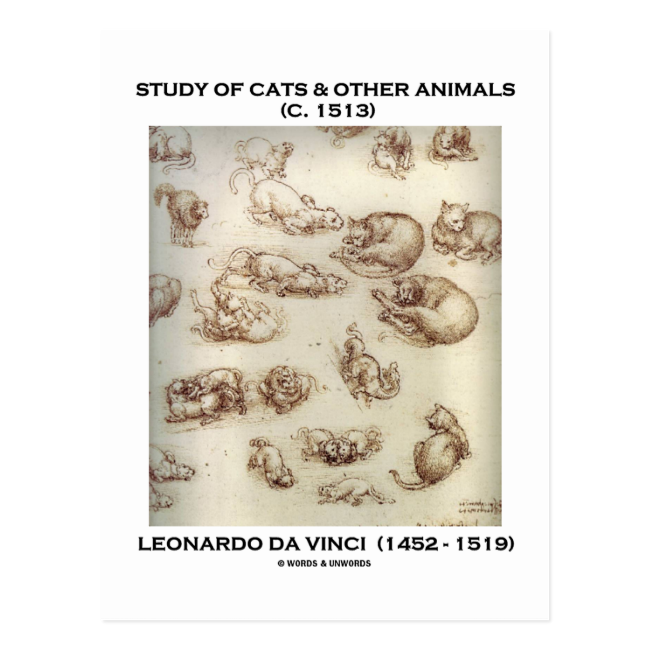 Study Of Cats & Other Animals (Leonardo da Vinci) Postcard