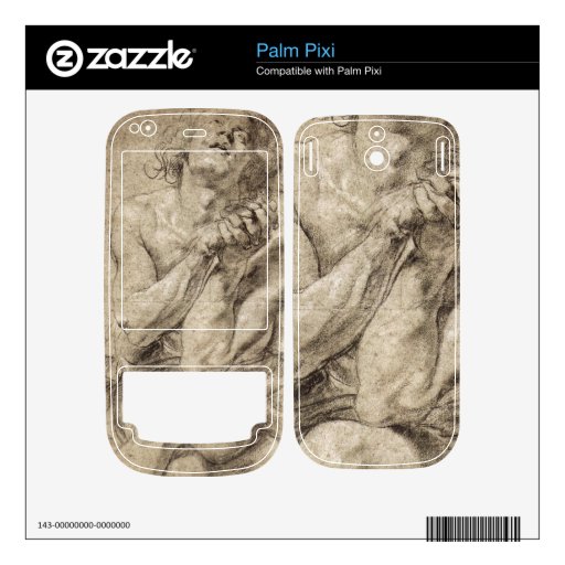 Study of Daniel in the lion's den by Paul Rubens Palm Pixi Skins