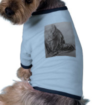 Study of drapery pet clothing