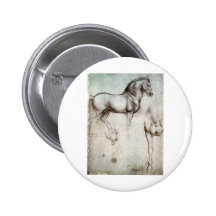 Study of horse. buttons