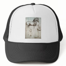 Study of horse. hats