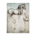 Study of horse. postcards by LeonardoDaVinci Study of horse. postcards