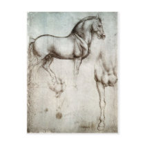 Study of horse. postcards by LeonardoDaVinci Study of horse. postcards