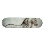 Study of horse. skate board