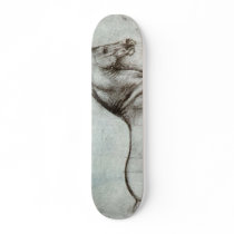 Study of horse. skateboards