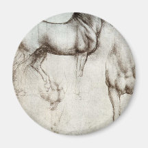 Study of horses - Leonardo da Vinci Magnets