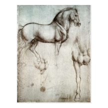 Study of horses - Leonardo da Vinci Postcards