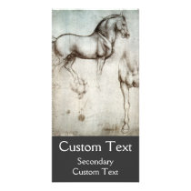 Study of Horses Custom Photo Card