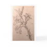 Study of lilies greeting cards