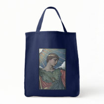 Study of Minerva bags