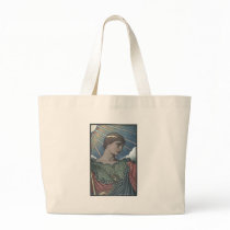 Study of Minerva bags