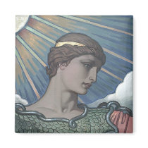 Study of Minerva Fridge Magnet