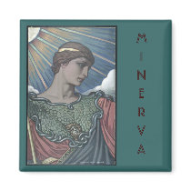 Study of Minerva magnets by ShovelTest Study of Minerva magnets