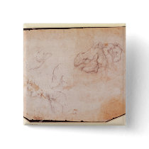 Study of Muscles Pinback Buttons