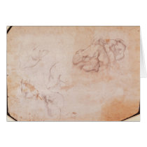Study of Muscles Cards