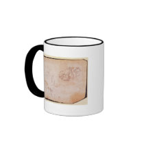 Study of Muscles Mug