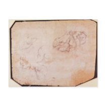 Study of Muscles Postcards
