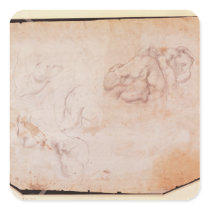 Study of Muscles Square Stickers