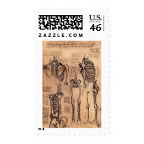Study of Skeletons postage