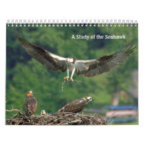 Study of the Seahawk calendars