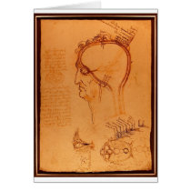 Study of the skull cards