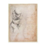 Study of torso and buttock postcard