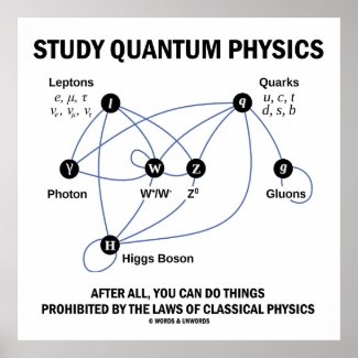 Study Quantum Physics After All You Can Do Things Posters