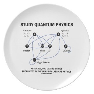Study Quantum Physics You Can Do Things Dinner Plate