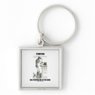 Studying Has Stripped Me To The Bone (Skeleton) keychain
