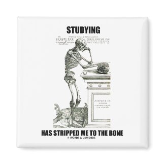Studying Has Stripped Me To The Bone (Skeleton) magnet