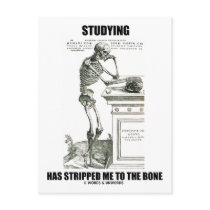 Studying Has Stripped Me To The Bone (Skeleton) Postcards
