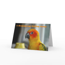 Stuff Yourself cards