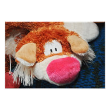 Stuffed toy photo print
