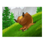 Stumbling Bear Postcards