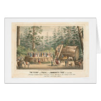 Stump of the Mammoth Tree of Calaveras (0977A) Cards
