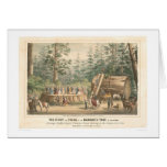 Stump of the Mammoth Tree of Calaveras (0977A) cards
