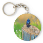 Stump Sitter Keychain