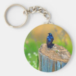 Stump Sitter Keychain