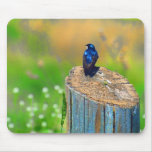 Stump Sitter Mousepad