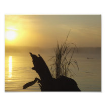 Stump with Yellow Sky Art Photo