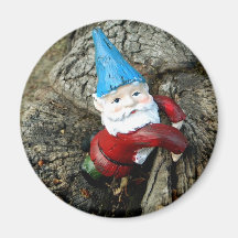 Stumped Gnome Fridge Magnet