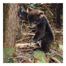 Stumped Invitation