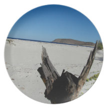 Stumpy beach plates