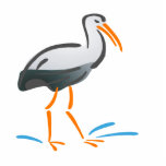 Stumpy Stork