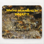 Stunned Honeybees Mouse Pad