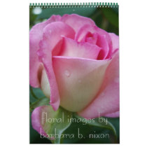 Stunning 2008 Calendar