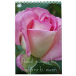 Stunning 2008 Calendar