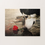 Stunning Alaskan Malamute Puzzle