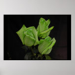 STUNNING ART PRINT ON TEXTURED CANVAS